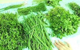 قیمت خرید سبزی دلمه خشک + فروش ویژه